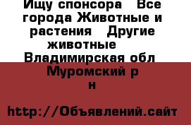 Ищу спонсора - Все города Животные и растения » Другие животные   . Владимирская обл.,Муромский р-н